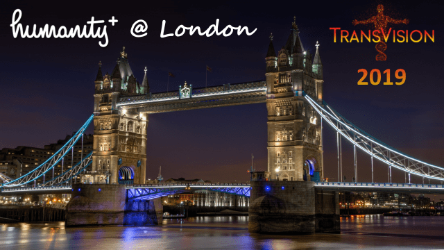 TransVision 2019 banner